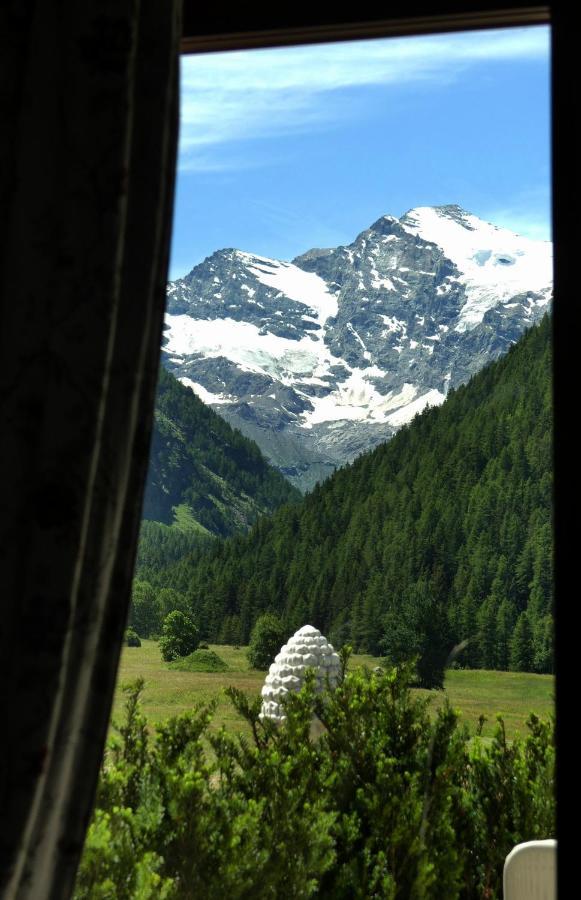 Apartamento La Terrazza Cogne Exterior foto